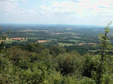 A view of fields and trees from a high vantage point at The Yeoman's House in Bignor
