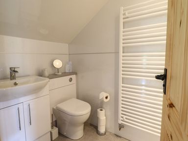A bathroom with a sink, toilet, towel radiator, and toilet paper holder at Old Cart House in Llanwddyn