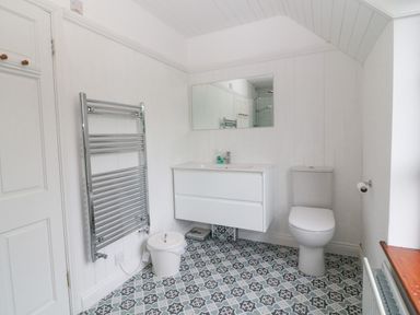 A bathroom with a toilet sink and mirror a towel radiator and a trash bin on patterned floor tiles at The Schooner in Goleen County Cork