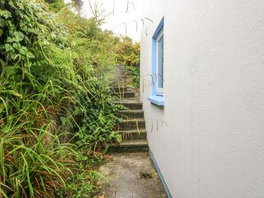 An outdoor narrow pathway with concrete steps next to a white wall with a blue window frame and dense greenery at The Schooner in Goleen County Cork