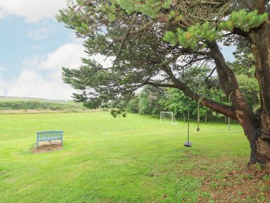 A grassy field with a blue bench a tree with swings and a soccer goal at The Schooner in Goleen County Cork