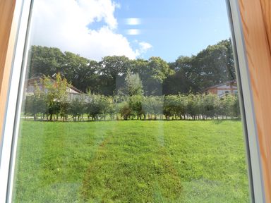 A grassy lawn with bushes and trees beyond viewed through a window at 6 Streamside Lanreath