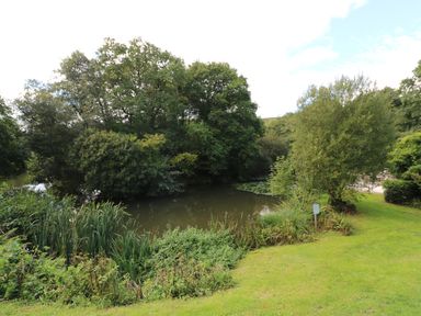 A small pond surrounded by green trees and grass at 6 Streamside in Lanreath