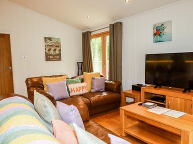 A living room with brown leather sofas and colorful cushions a wooden TV stand with a flat screen TV and a coffee table at 6 Streamside Lanreath