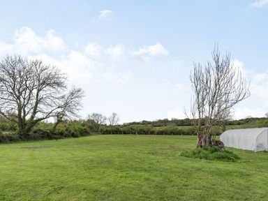 A grassy field with leafless trees and a white covered structure at Hen Hafod in Talwrn near Llangefni