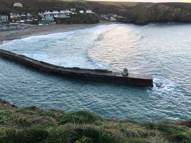 A stone pier extending into the sea with waves and buildings on the coastline at The Chace in Portreath