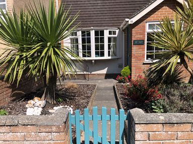 Front garden with two palm trees a blue gate and a pathway leading to a house with a bay window at The Chace in Portreath