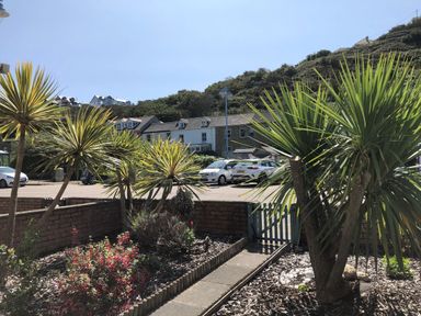 A garden with palm trees and flowering plants next to a small gate and parked cars at The Chace in Portreath