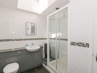 A bathroom with a shower enclosure a sink with grey cabinets a toilet and a small wall mirror at Rose Cottage in Bream