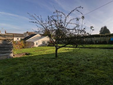 A backyard with a tree in the center a shed to the left and houses in the background at Rose Cottage in Bream