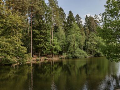 A body of water surrounded by tall trees and greenery at Rose Cottage in Bream
