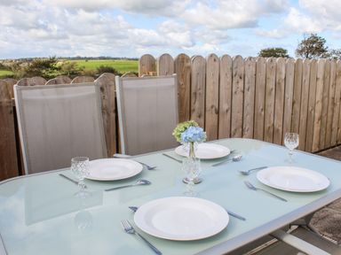 An outdoor dining table set with four plates four forks four spoons four glasses and a vase with flowers by a wooden fence with a grassy field in the background at Llain Bach in Llangefni