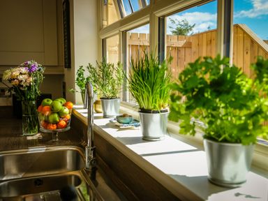 A kitchen window sill with potted herbs and a vase of flowers by a sink and fruit bowl at Oystercatcher in Embleton