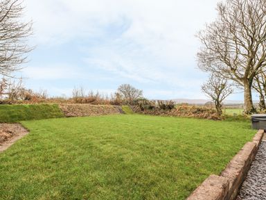 A backyard with a grassy lawn bordered by trees and a low stone wall at Bwthyn Lan in Boncath