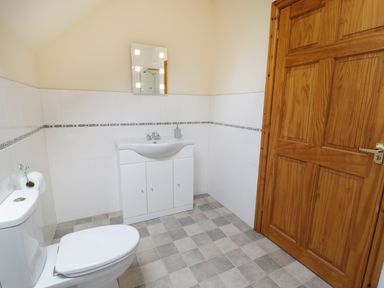 A bathroom with a toilet sink and a wooden door at Pentrego Isaf in Meifod