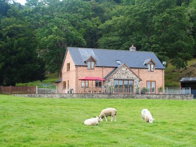 A brick house with a patio and red umbrella in front of a grassy field with sheep at Pentrego Isaf in Meifod