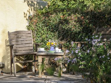 Two wooden chairs and a small table with flowers and cups outside against a wall with ivy and plants at The Daffodil Shed in Bere Alston