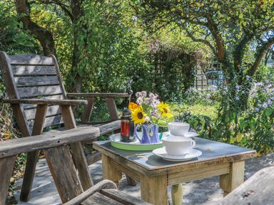 An outdoor seating area with wooden chairs and a table with teacups and a vase of flowers at The Daffodil Shed in Bere Alston