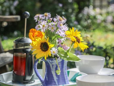 A blue mug with flowers and a French press with two white cups on a tray at The Daffodil Shed in Bere Alston