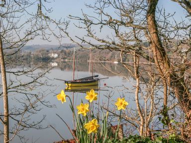 Yellow flowers with bare trees and a boat on calm water at The Daffodil Shed in Bere Alston