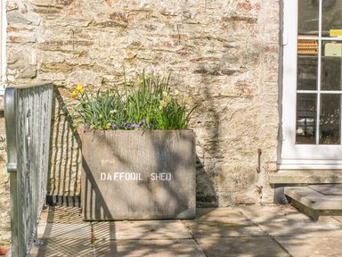 A stone planter with flowers next to a stone wall and a glass door at The Daffodil Shed in Bere Alston