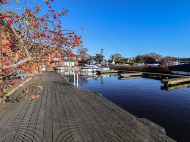 A marina with boats and a tree by the water at Daisy Lodge in Norwich