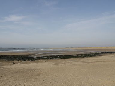 A sandy beach with patches of seaweed and water under a clear sky at Ty Taid in Rhosneigr