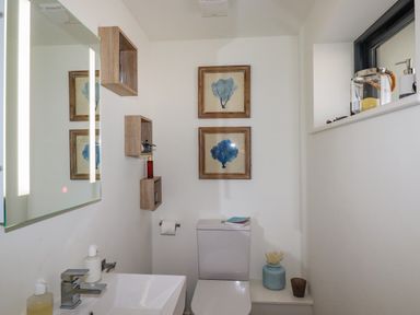 A bathroom with a toilet sink wall shelves and artwork at Stargazers in Sennen