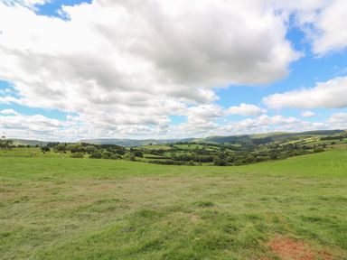 A grassy open field with trees and hills in the distance under a cloudy sky at Ivys Way in Rhayader