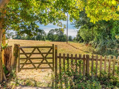 A wooden gate and fence opening to a grassy field with trees in the background at Old Farm Stables South Barrow near Sparkford