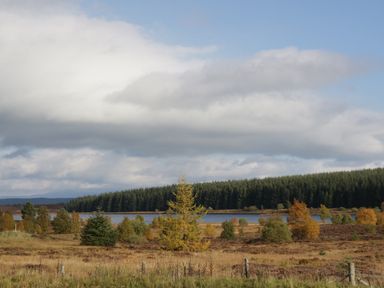 A landscape with a lake surrounded by trees and a cloudy sky at Burnside Lodge in Aberfeldy