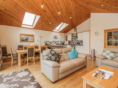 An open-plan living area with sofas, a dining table with chairs, a kitchen with white cabinets, and skylights in the wooden ceiling at Burnside Lodge in Aberfeldy