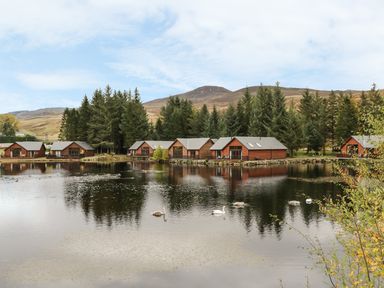 Wooden lodges by a lake with swans and pine trees in the background at Burnside Lodge in Aberfeldy