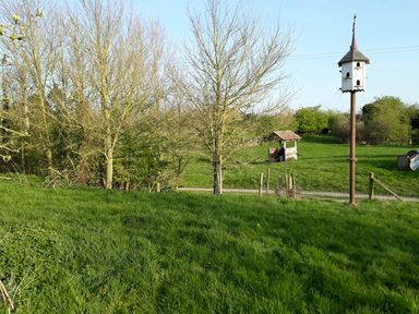 A grassy field with leafless trees a birdhouse on a tall pole and a small wooden structure in the background at Jackdaw's Roost in Cheltenham