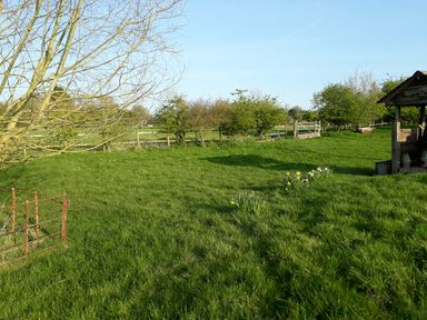 A grassy field with a tree, a small shed, flowers, and a fence at Jackdaw's Roost in Cheltenham
