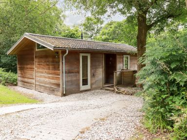 A wooden cabin with a tiled roof surrounded by trees and a gravel pathway at 4 Stonerush Valley in Lanreath
