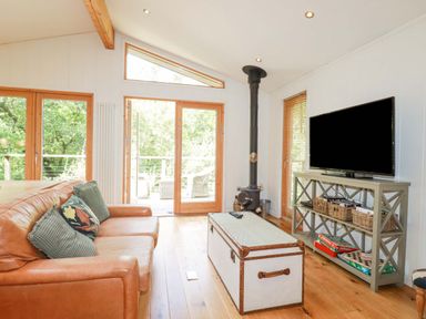 A living room with a leather sofa a television on a shelf and a wood stove at 4 Stonerush Valley in Lanreath