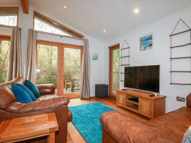 A living room with brown leather sofas blue cushions a blue rug wooden TV stand and glass doors opening to a deck at 2 Stonerush Valley in Lanreath