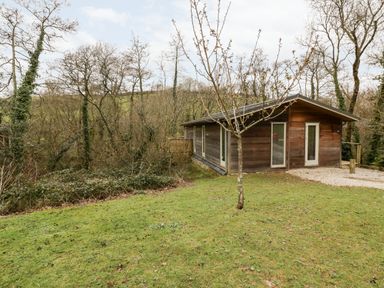 A wooden cabin with tall windows on a grassy area near trees at 9 Stonerush Valley in Lanreath