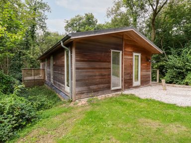 A wooden cabin with large windows surrounded by trees and grass at 9 Stonerush Valley in Lanreath