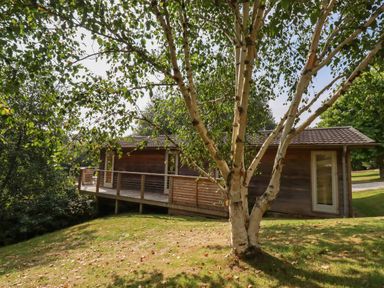 A wooden cabin with a deck surrounded by trees and grass at 2 Water's Edge in Lanreath