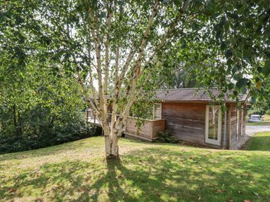 A wooden cabin with a deck surrounded by trees and grass at 2 Water's Edge in Lanreath
