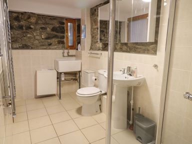 A bathroom with a toilet sink shower and stone wall at Brithgwm Canol Brithdir near Dolgellau