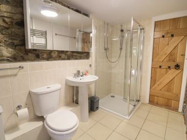 A bathroom with a toilet sink and shower enclosure at Brithgwm Canol Brithdir near Dolgellau
