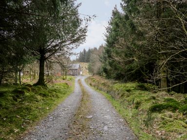A gravel driveway leading to a stone building surrounded by trees at Brithgwm Canol in Brithdir near Dolgellau