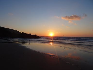 A sunset over the ocean with waves and a bird flying near rocks at The Sandcastle in Freshwater East