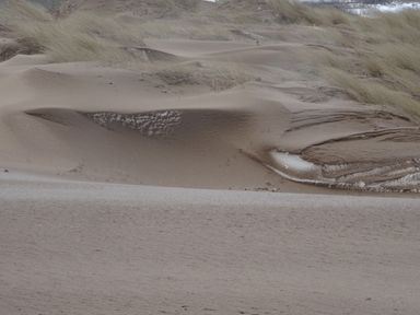 Sand dunes with patches of grass and some snow in a natural landscape