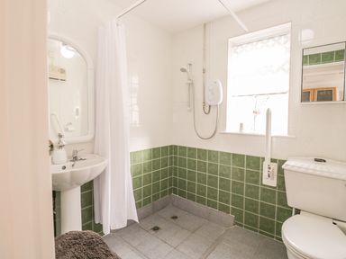A bathroom with a shower area sink and toilet at Ducks Ditty in Liskeard