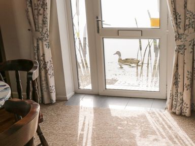A dining area with wooden chairs near a glass door with curtains and a duck outside at Ducks Ditty in Liskeard