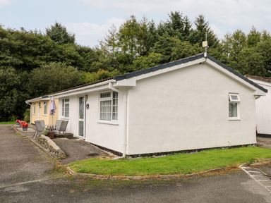 A single story house with white and yellow walls patio furniture and a green lawn surrounded by trees at Ducks Ditty in Liskeard